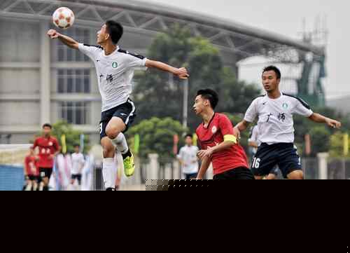 的几次肋部 的几次肋部